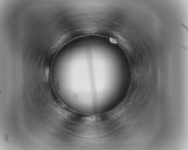 X0000096430118200801241347