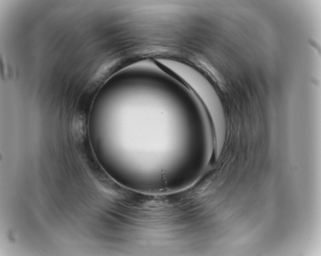 X0000096430119200801241347