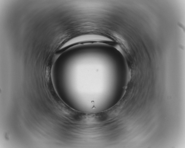 X0000096430121200801241347