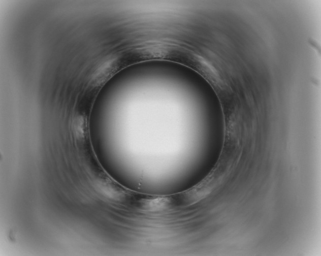 X0000096430122200801241347
