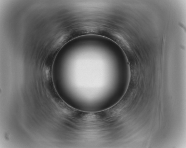 X0000096430123200801241347