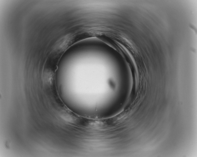 X0000096430125200801241347