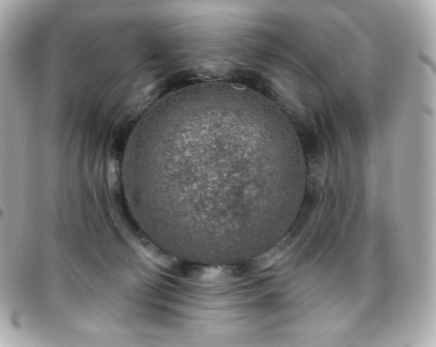 X0000096430130200801241347