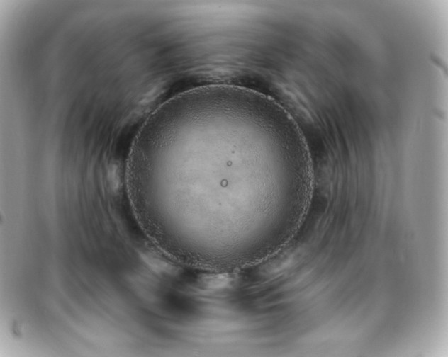 X0000096430131200801241347