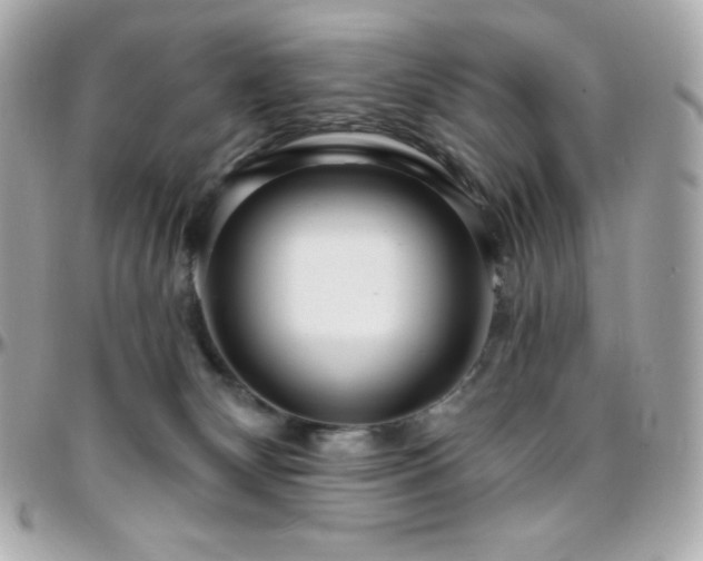 X0000096430132200801241347
