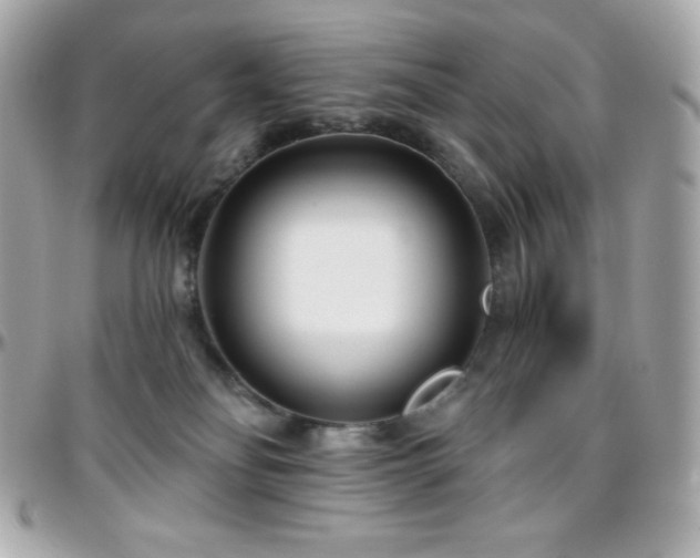 X0000096430134200801241347