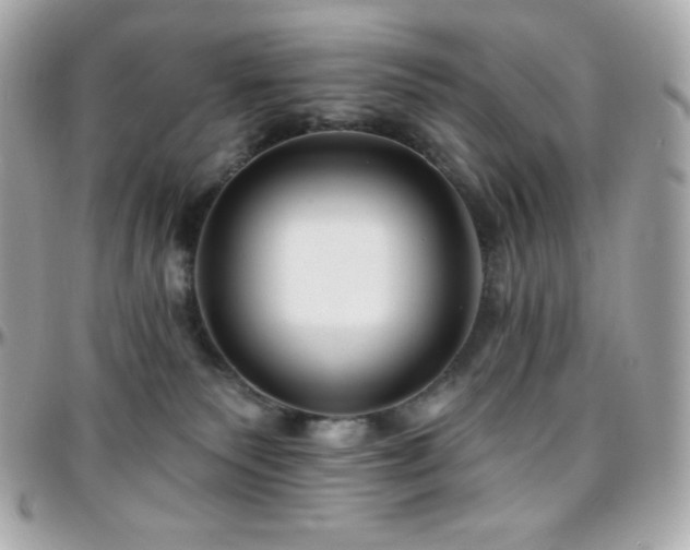 X0000096430135200801241347