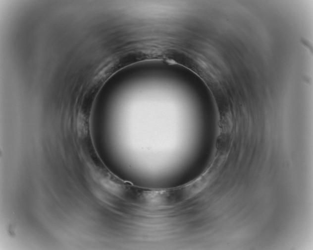 X0000096430136200801241347