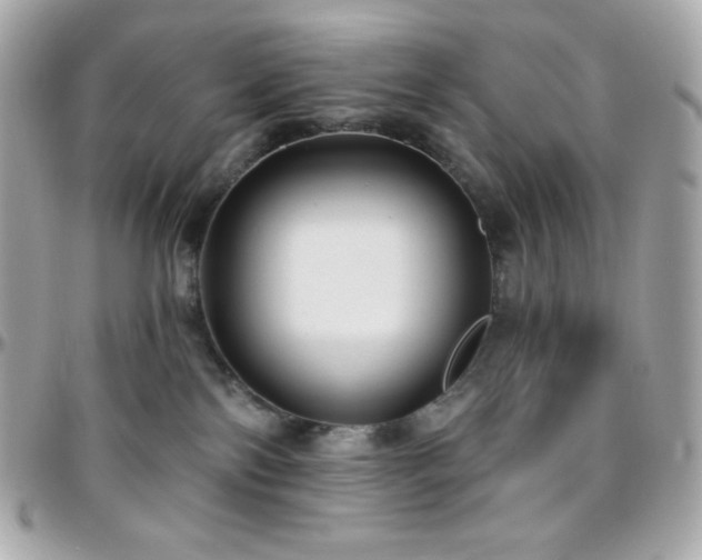 X0000096430138200801241347