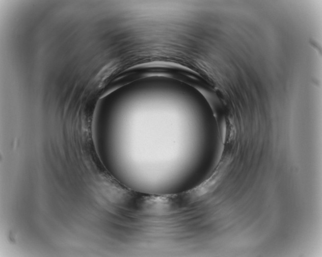 X0000096430140200801241347