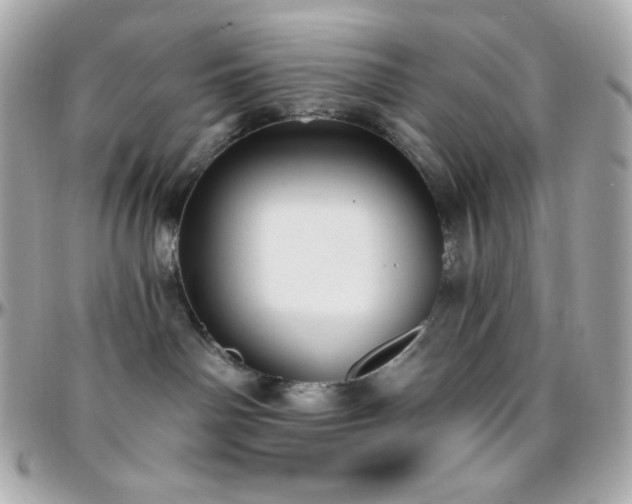 X0000096430142200801241346