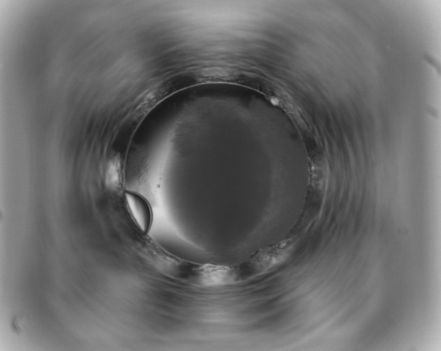 X0000096430143200801241346