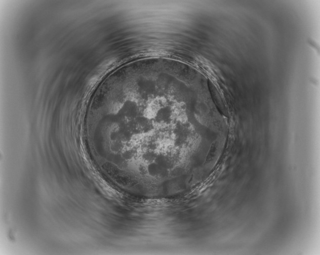 X0000096430145200801241346