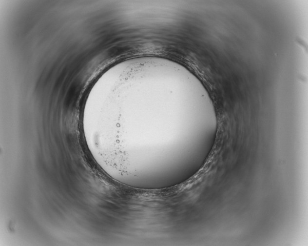 X0000096430146200801241346