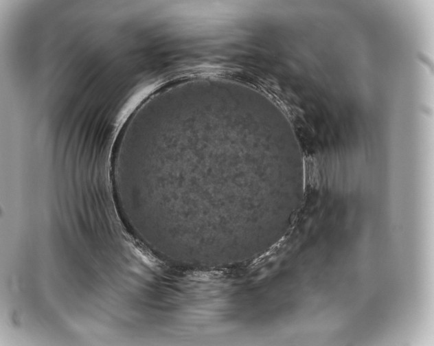 X0000096430147200801241346