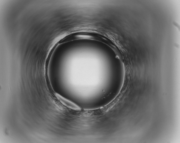 X0000096430148200801241346