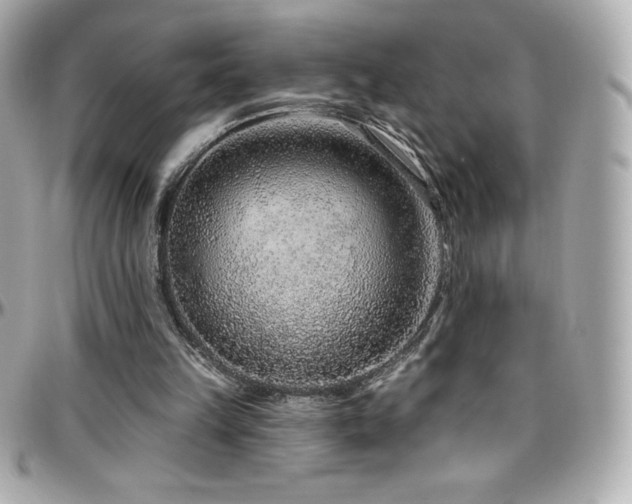 X0000096430149200801241346