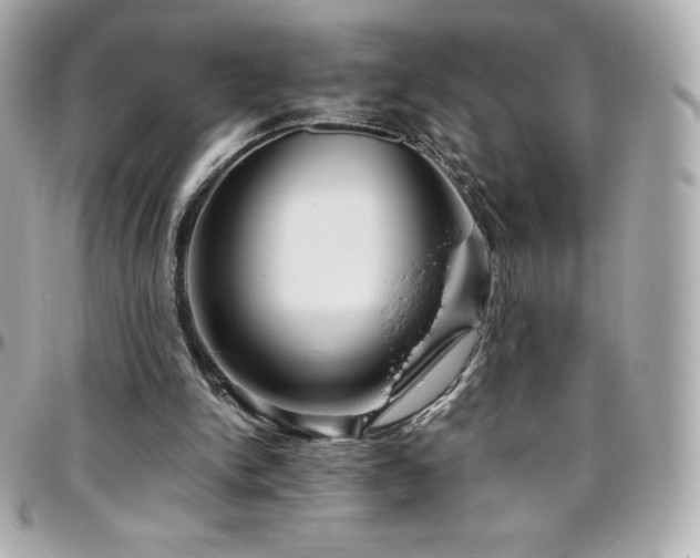 X0000096430150200801241346