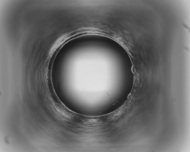 X0000096430151200801241346