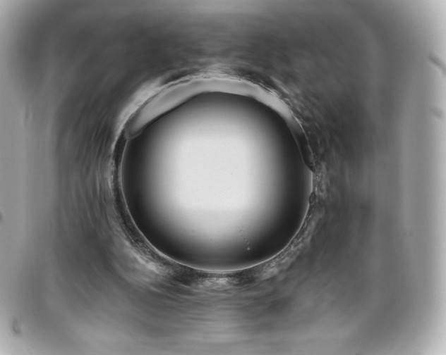 X0000096430152200801241346