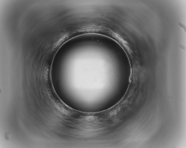 X0000096430153200801241346