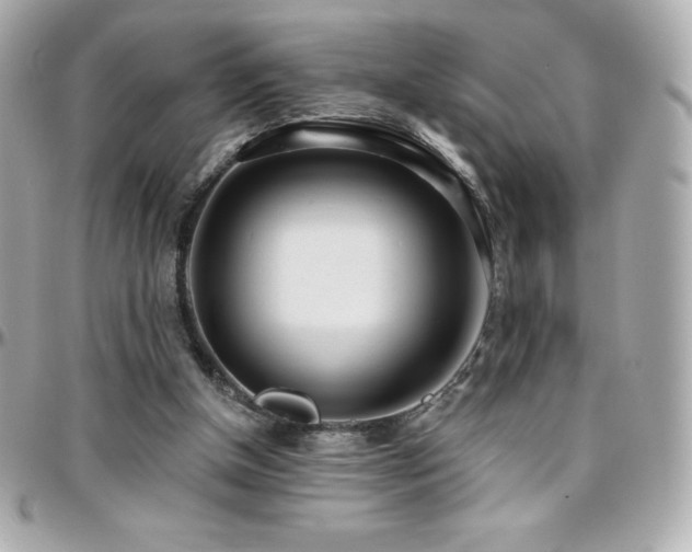 X0000096430154200801241346