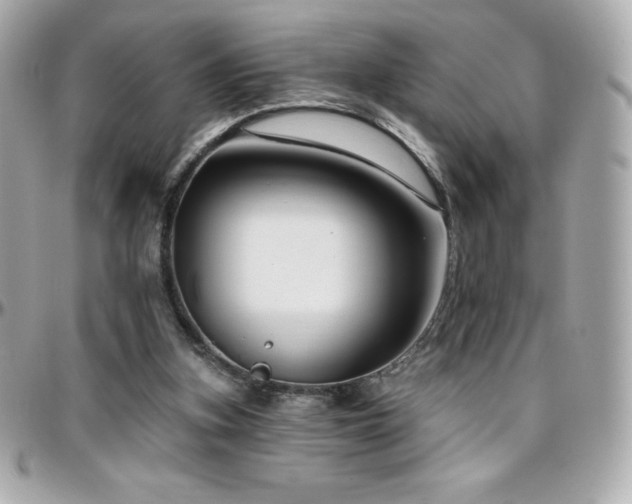 X0000096430155200801241346