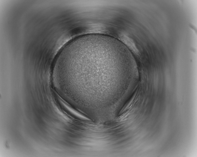 X0000096430156200801241346
