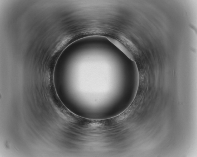 X0000096430158200801241346