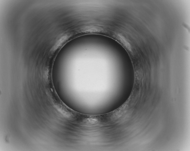 X0000096430159200801241346