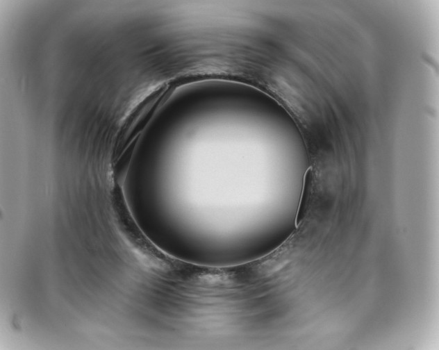 X0000096430160200801241346