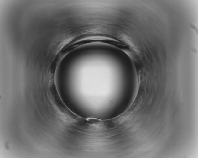 X0000096430164200801241346