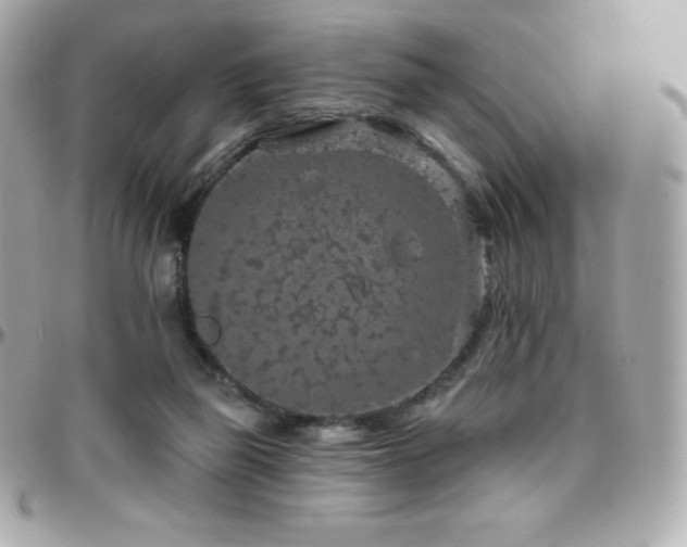 X0000096430165200801241346
