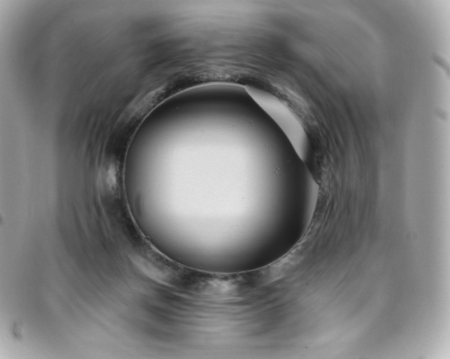 X0000096430166200801241346