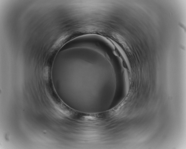 X0000096430167200801241346
