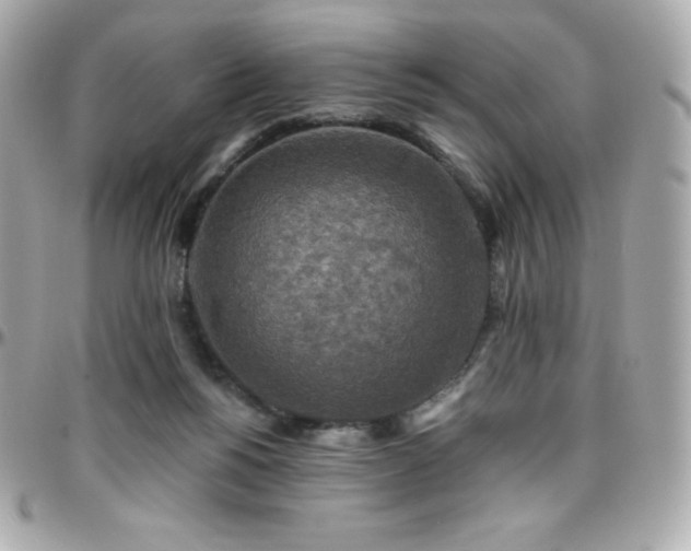 X0000096430168200801241346