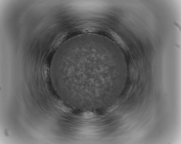 X0000096430169200801241346
