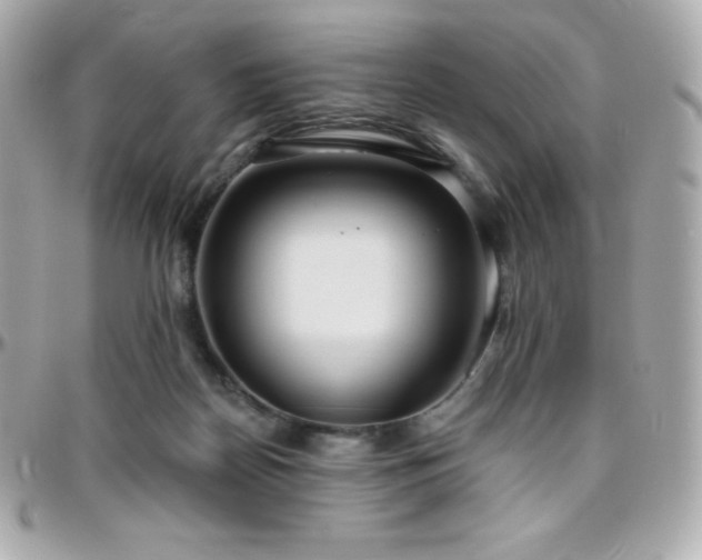 X0000096430170200801241346