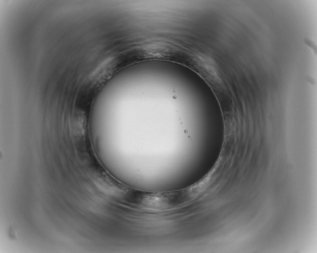 X0000096430174200801241346