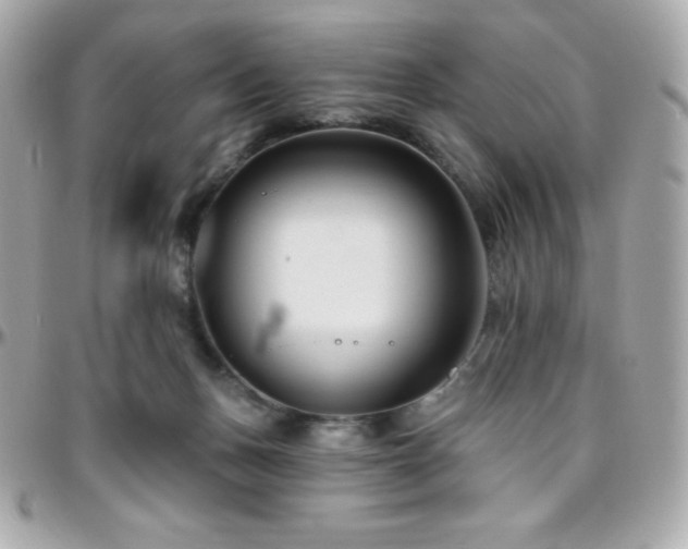 X0000096430175200801241346