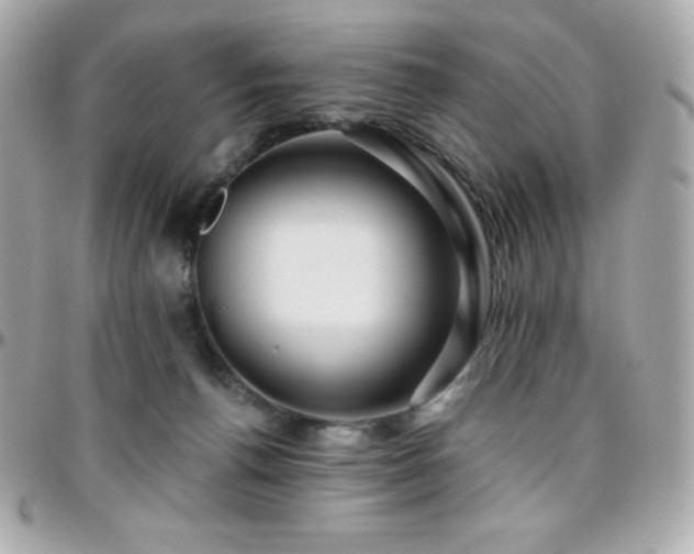 X0000096430176200801241346