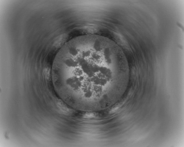 X0000096430177200801241346