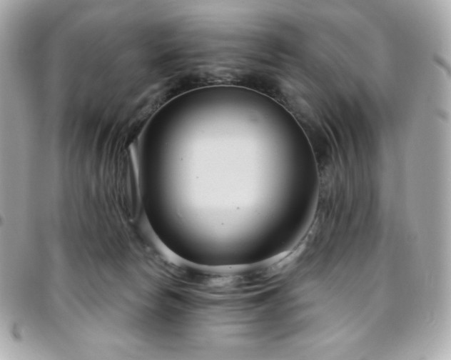 X0000096430178200801241346