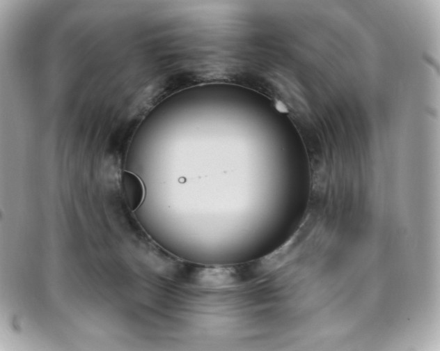 X0000096430179200801241346