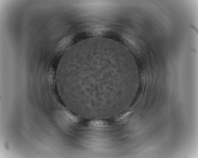 X0000096430181200801241346