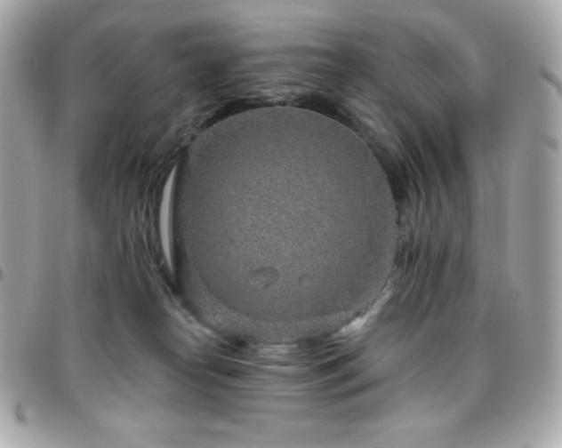 X0000096430182200801241346