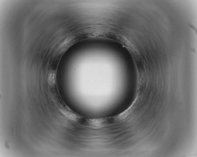 X0000096430191200801241346