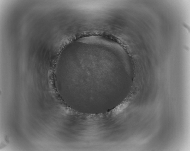 X0000096430192200801241346
