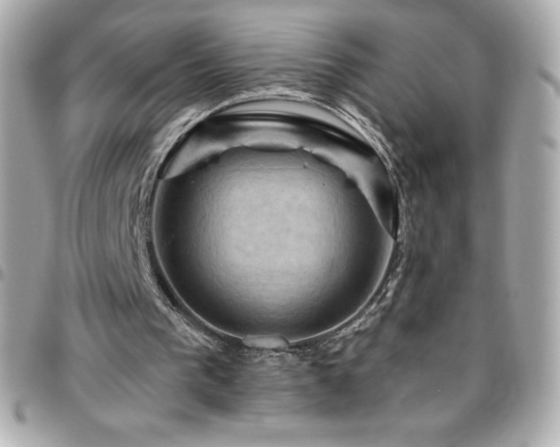X0000096430193200801241346