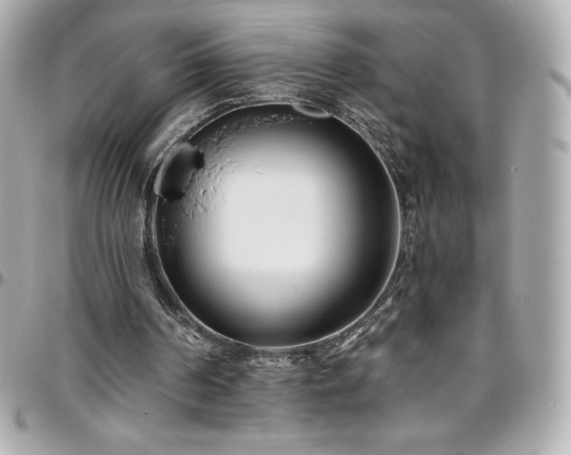 X0000096430194200801241346